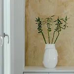 Hotel Lianos Village Stelida (Naxos)