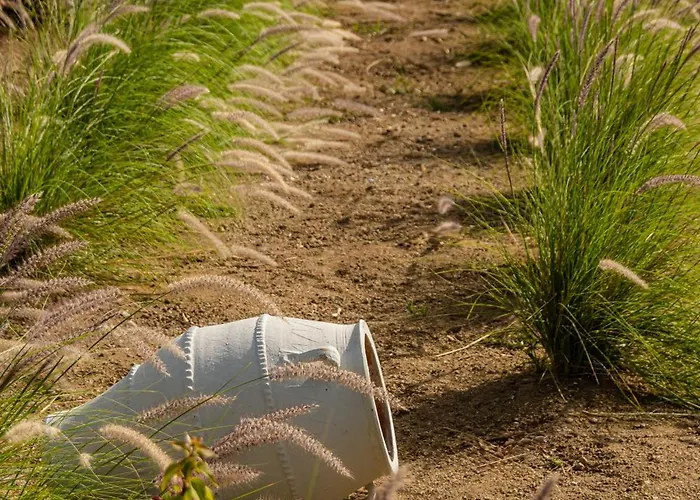 Hotel Lianos Village