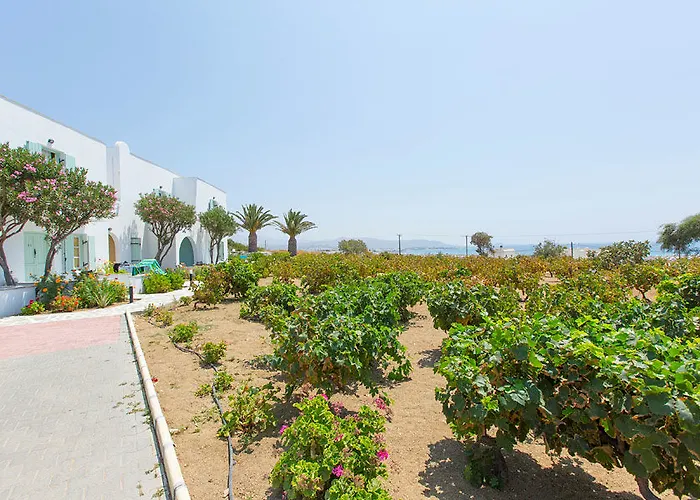 Lianos Village Hotel Stelida (Naxos)